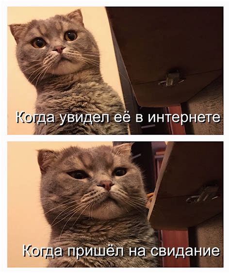 Твоё лицо.. | Пикабу