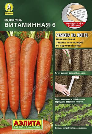 Купить Морковь Витаминная-6 /4г сер.х2 в Санкт-Петербурге | Морковь