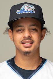 Carlos Pena Stats, Age, Position, Height, Weight, Fantasy & News | MiLB.com