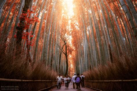 Wallpaper : 1200x800 px, nature 1200x800 - 4kWallpaper - 1045632 - HD ...
