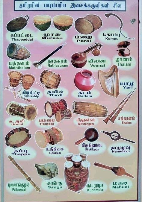 musical instruments list   popular types  english