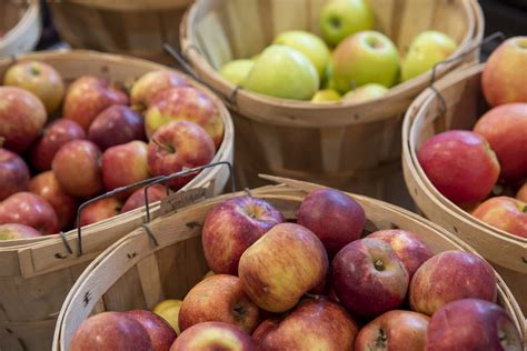 Looking For Fresh Fall Goods And Produce? Fulton Stall Market’s Fall