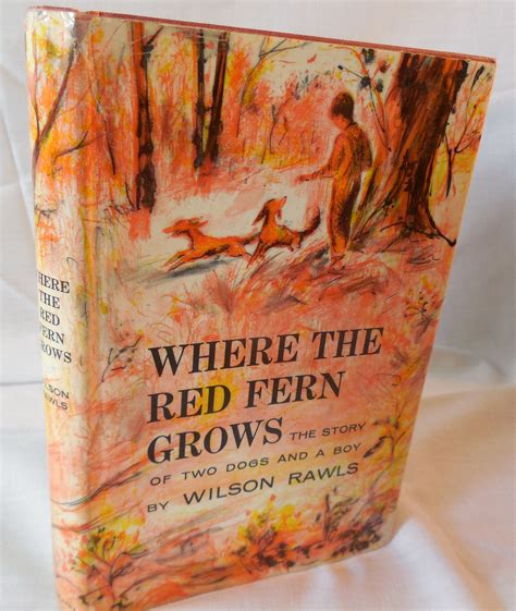 Dog From Where The Red Fern Grows 11