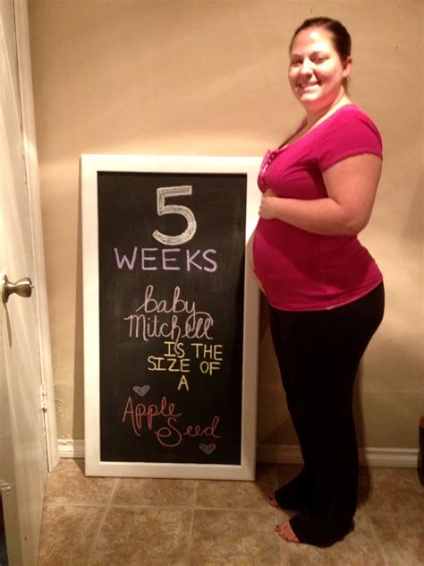 Pregnancy Tests After 5 Weeks Pregnant at Kate Donaghy blog