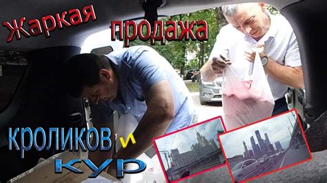 ПРОДАЖА МЯСА В МОСКВЕ. - YouTube