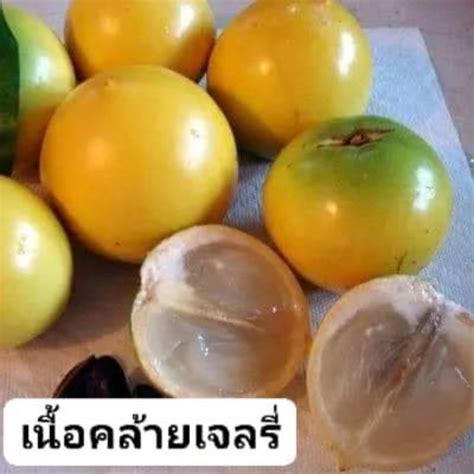 shopee thailand