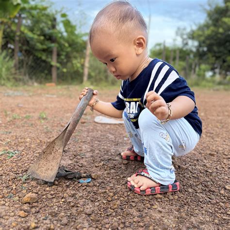 best rabbit weak cheap