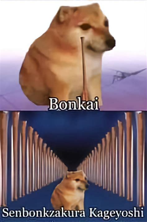 the ultimate bonk meme : r/bleach