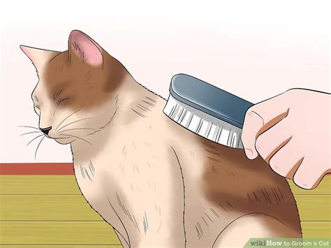 how much to groom a cat