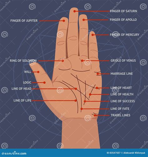 hand lines  palmistry  isolated  white background flat