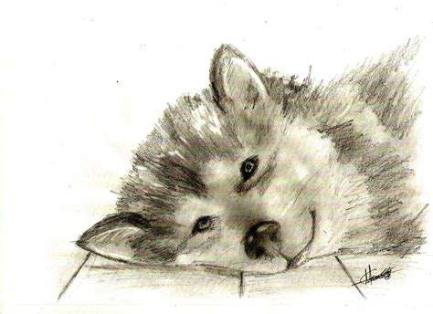 marcos guillen guillen dibujos