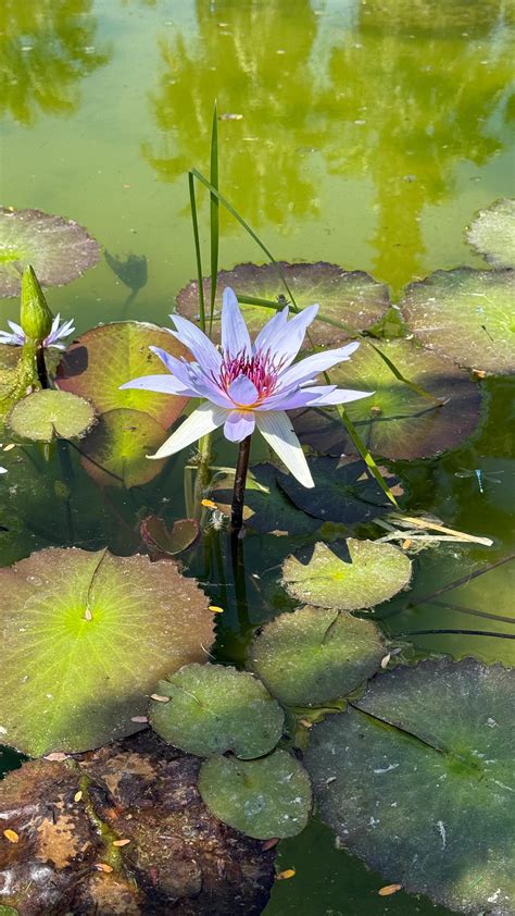 Lauren Sanchez Gregory (@spicysparkle) • Instagram photos and videos