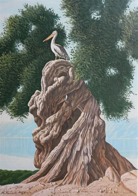 Stara maslina – GALERIJA ART