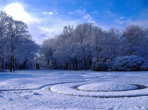Free Nature Wallpaper: nature scenes wallpaper