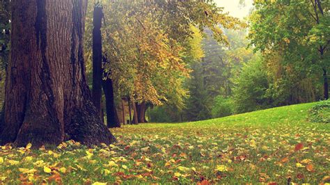Nature Photos Wallpapers HD Free Download