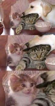 Uvuvwevwevwe Onyetenyevwe Ugwemuhwem Osas - Meme subido por NickXP ...