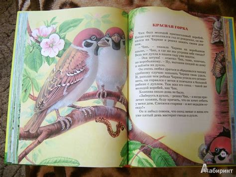 Книга: Большая книга сказок - Виталий Бианки. Купить книгу, читать ...