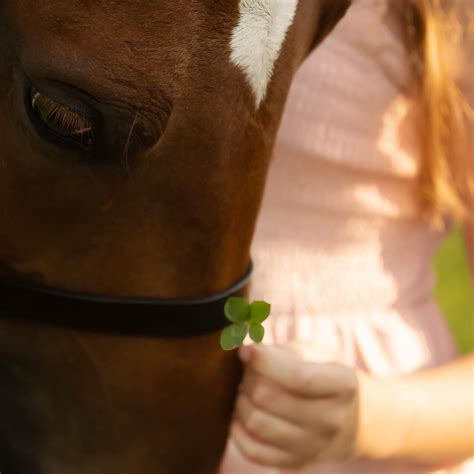Indian Creek Farm added a new photo. - Indian Creek Farm