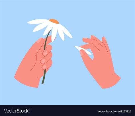 The Daisy Blooms: Are They Telling Us About Climate Change? - sv7jj4n