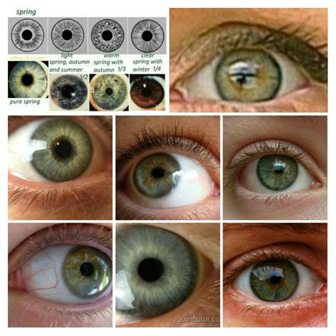 color season eye pattern