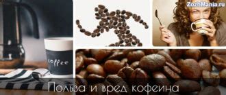 Вред и польза кофеина для организма, механизм действия, безопасная ...