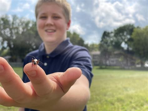 Media – Ascent Adventist Academy