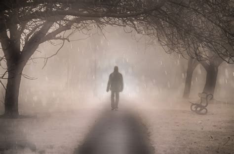 Walk In The Fog Free Stock Photo - Public Domain Pictures
