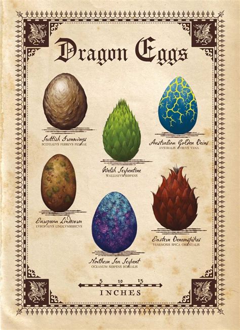 Pin by Blansh Sayn on d a r l i n g s | Types of dragons, Dragon egg ...