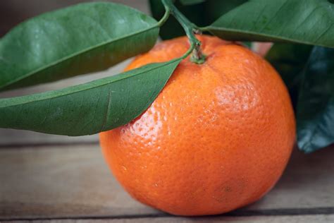 Jeruk Keprok Buah - Foto gratis di Pixabay