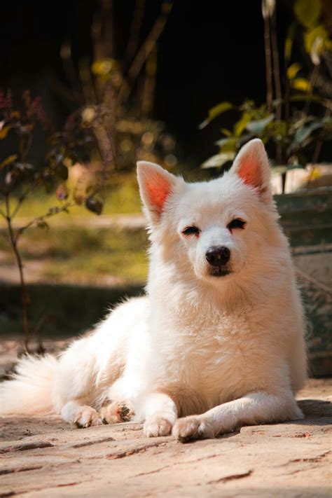 Anti Furrys Photos, Download The BEST Free Anti Furrys Stock Photos ...