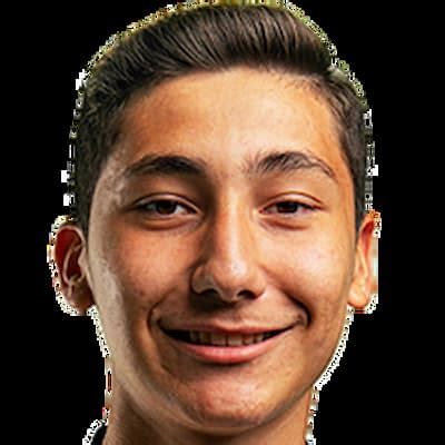 emirhan ilkhan bio age family net worth