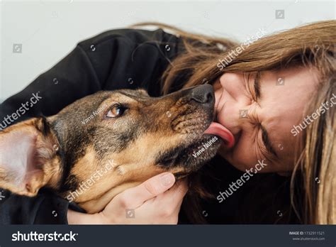 Young Woman Laughing Her Dog Licking Stock Photo 1732911521 | Shutterstock