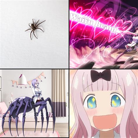 Insect girl waifus are underrated : r/Animemes