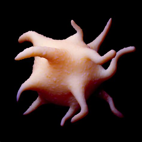 Why Professionals Are Switching to Frame Fast Activator 290/16 for