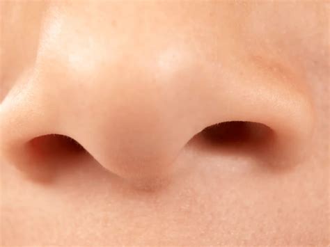 Choosing the right nose shape and size for Rhinoplasty