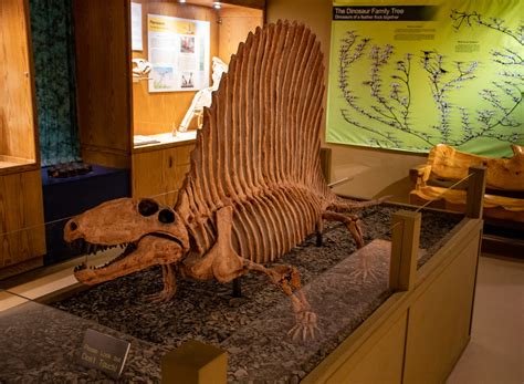 Wyoming Dinosaurs | Museum and Dig Sights | Thermopolis — Live WYld