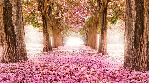 3840x2160 Spring Wallpapers - Wallpaper Cave