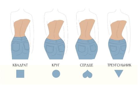 Тип женских ягодиц: строение и формы