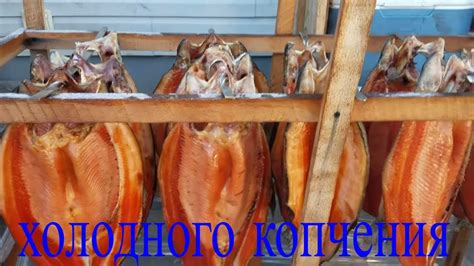 Smoke Your Own Delicious Cold-smoked Fish At Home! - YouTube