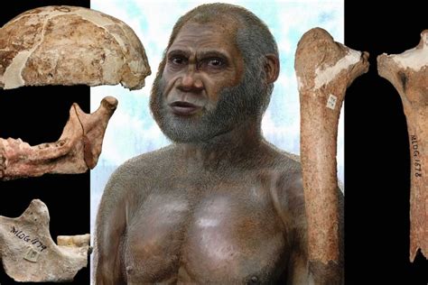 Mystery of prehistoric humans deepens