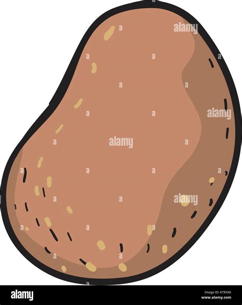 Ilustración de una simple papa Imagen Vector de stock - Alamy