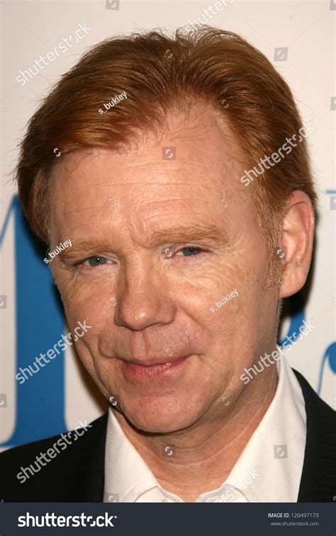 42 imágenes de David caruso - Imágenes, fotos y vectores de stock ...
