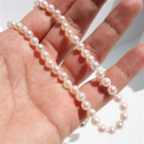 Akoya Pearl Single Strand Necklace | Danielle Camera