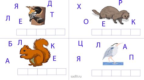 Собери слово из заданных букв, а картинка тебе поможет