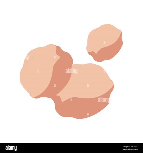 flat vector nuts icon vector illustration stock vector image art alamy