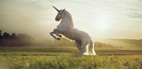 unicorn  wallpaper   wallpapers hd latest version