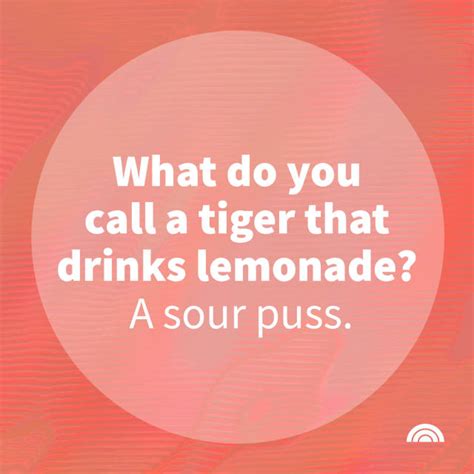 funny jokes  kids     family laughing