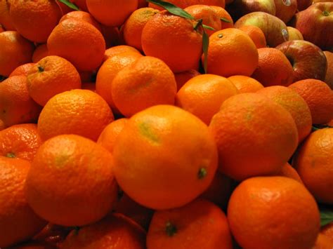 Обои на рабочий стол: спелые мандарины, куча мандаринов, мандарины ...