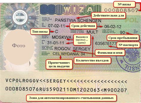 Как прочитать Шенгенскую визу? Разбираем по пунктам