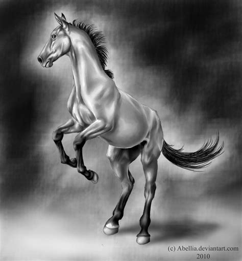 Akhal-Teke by Abellia on DeviantArt